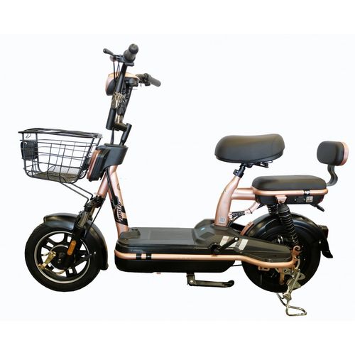 米豆- 铅酸国标 - - 津阳光电动车