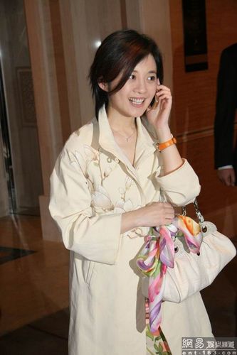 许戈辉.