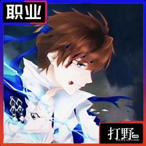 王者荣耀职业头像._头像_游戏_手机游戏