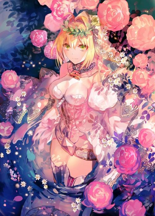 fgo花嫁尼禄卡池分析,几大辅助的卡池优先度推荐