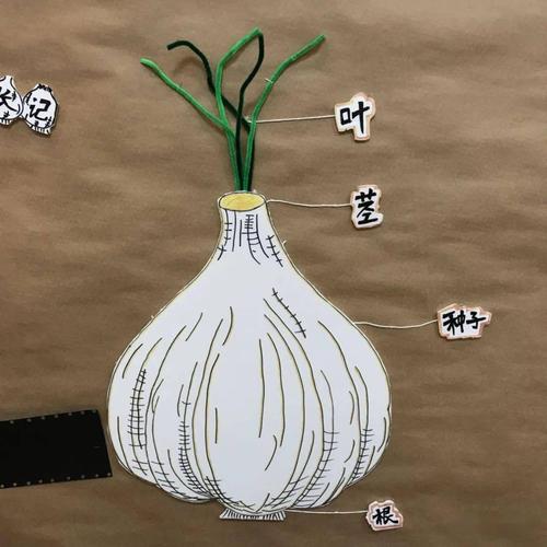 etonkids教学舌尖上的大蒜米兰班主题探索