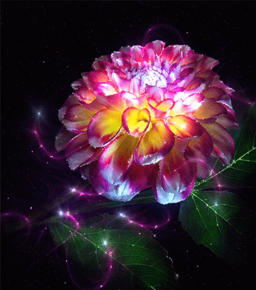 gif# #鲜花# 灬铃兰灬采集