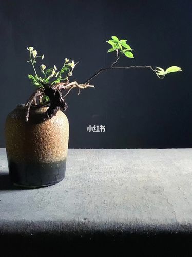 艺术_东方自然风插花艺术培训攻略_插花艺术_家居家装_家居装饰_花艺