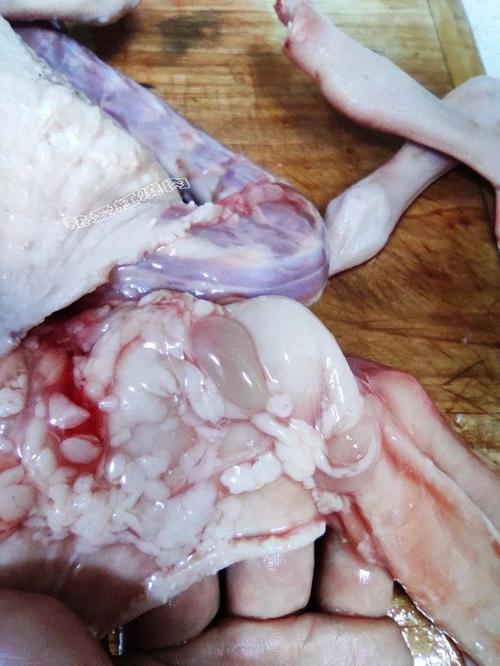 家禽类的咱在烹饪之前一定要把脖子皮切掉丢弃,因为里面有很多淋巴结