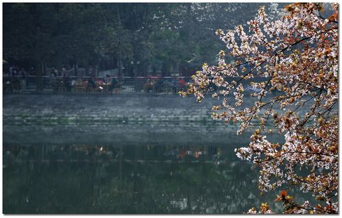 【泥巴沱风景区】