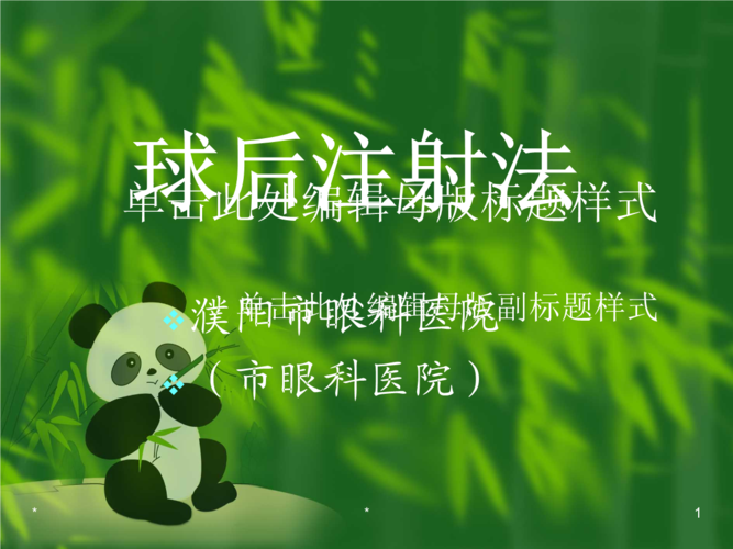 球后注射法教学讲义.ppt