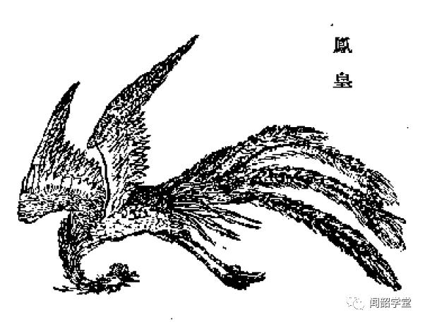 《山海经》之精怪连载 | 凤凰(上)