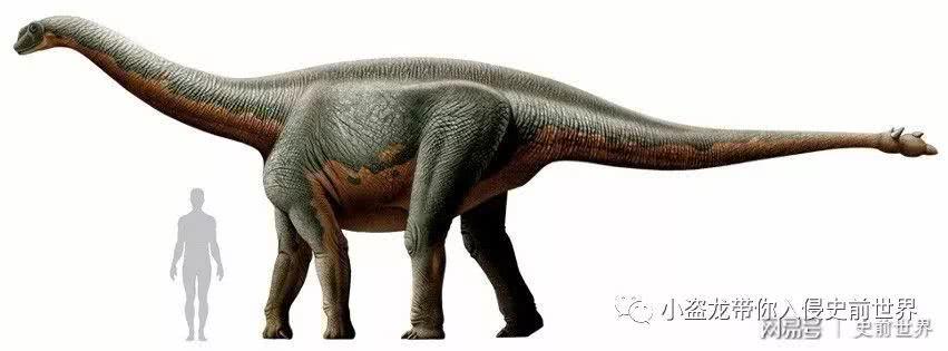 古生物学家在中国发现了梁龙的祖先,被称为神奇灵武龙