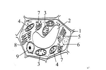 2018参加微信课堂学生福利(必修一细胞器和细胞核)