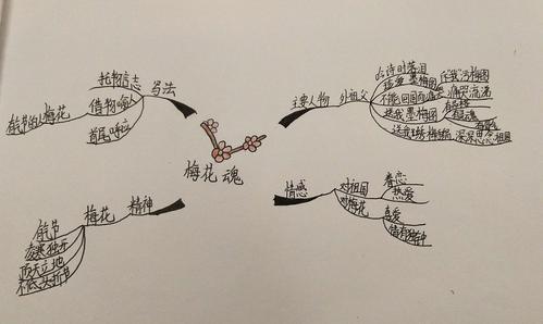 学习的好伙伴――思维导图