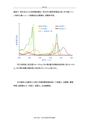 叶绿素吸收光谱教案资料.doc 3页