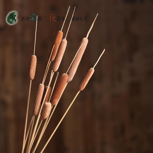 蒲棒干花水蜡烛假花插花仿真花天然干枝干花仿真花客厅卧室落地花