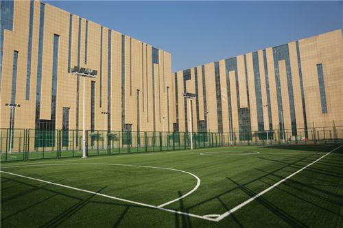 沈阳市全民健身中心的介绍