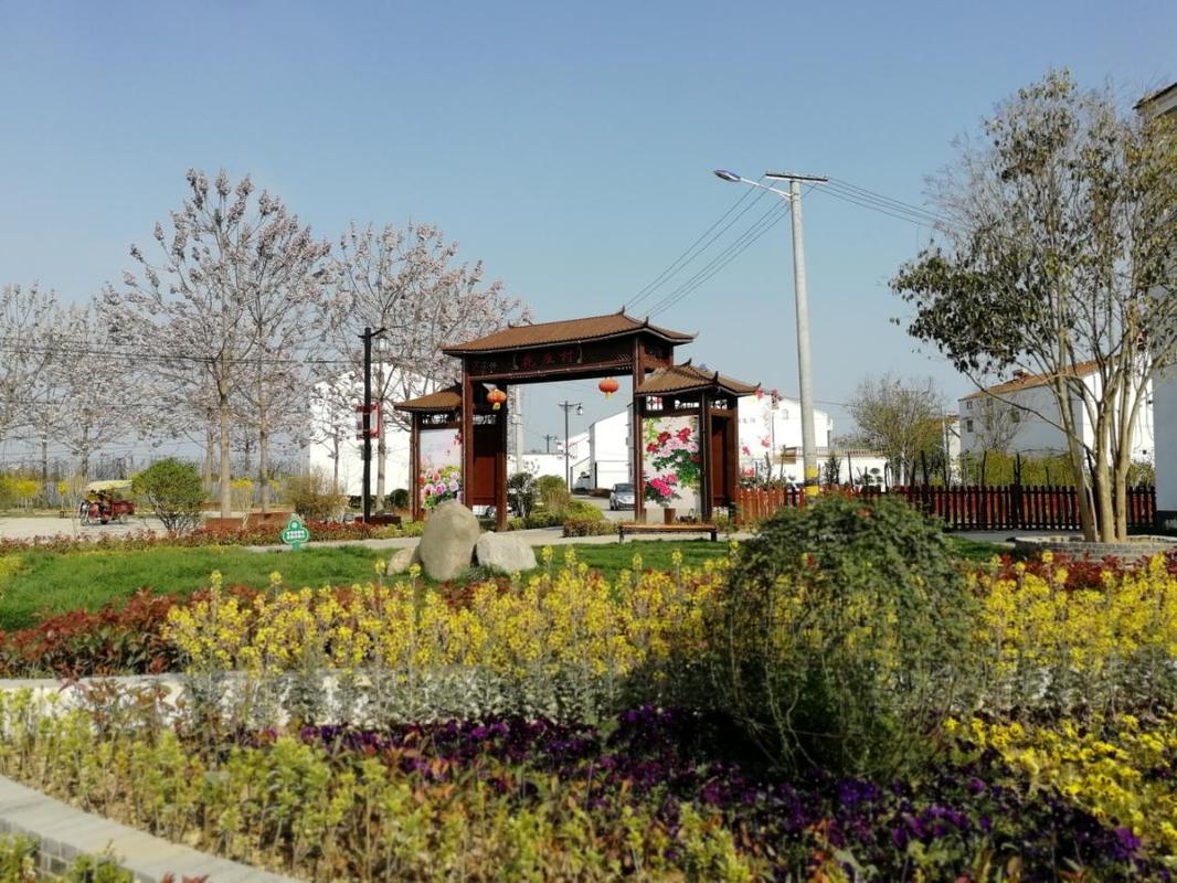 河南虞城:如诗如画的城郊乡花庄引来了商丘市观摩团