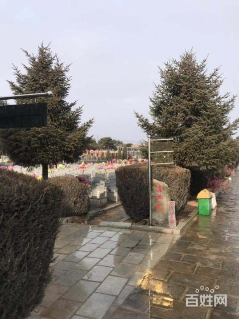 铁岭骏龙泉详细资料购墓指南