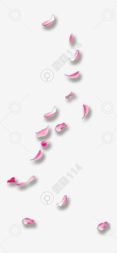 桃花 飘落花瓣 飞的花