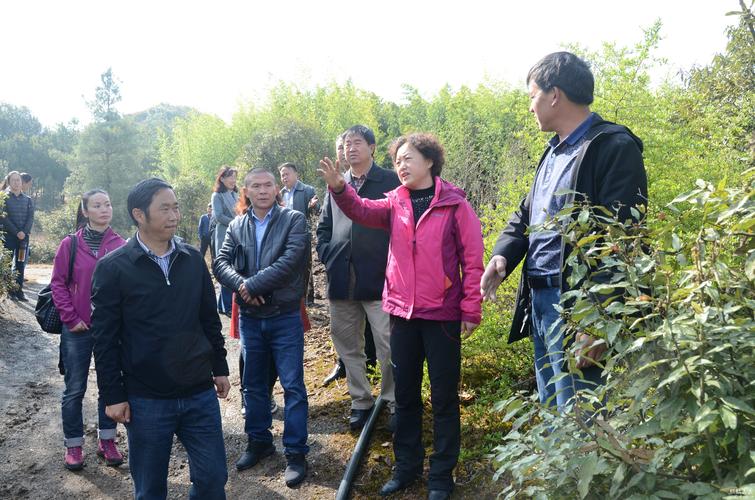 人大要闻 | 麒麟 曲靖市人民代表大会常务委员会