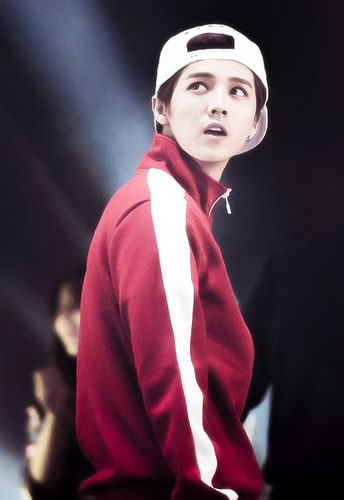 神婆说鹿晗正缘在明年