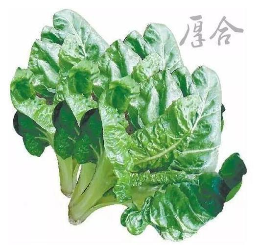 厚 合