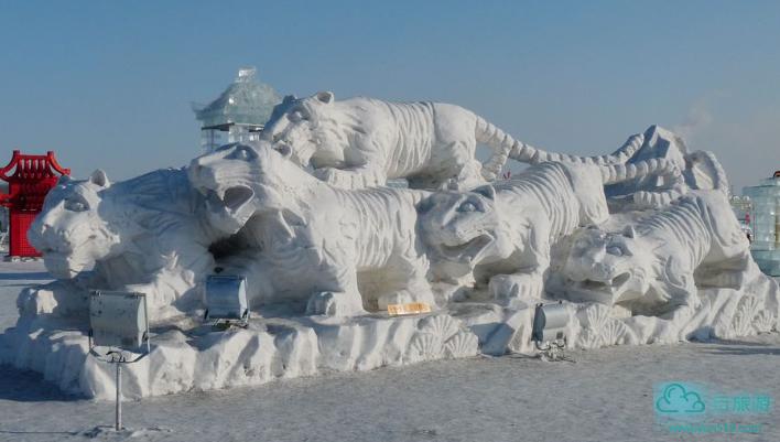 佳木斯冰雪大世界 - 2022旅游景点介绍_旅游攻略 - 云