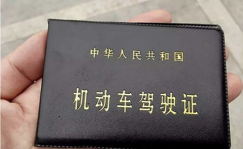 驾车忘带驾驶证就是"无证驾驶"?交警:能拿出这个,就不