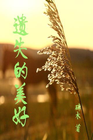 遗失的美好