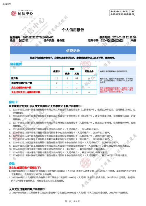 网查版个人信用报告-pdf格式-2021.pdf 6页