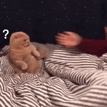 抖音很火的一组表情包洗吧我给你把风