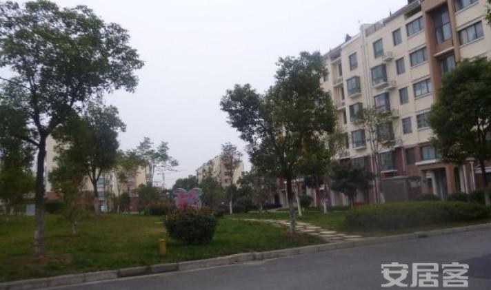 美景园千灯大润发 美景园 97平米