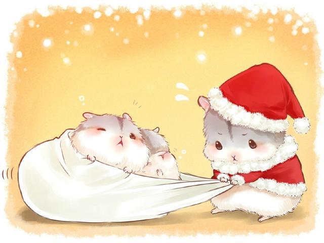 萌宠营业厅|萌萌哒小仓鼠插画~今天是被小仓鼠治愈的