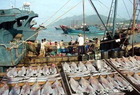 重案实录——死亡航行 "鲁荣渔2682号"太平洋上的血腥