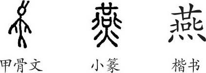 燕字义燕字的字形演变小篆隶书楷书写法燕