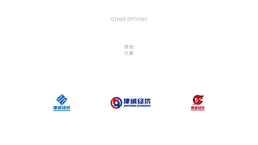 津诚经济logo设计