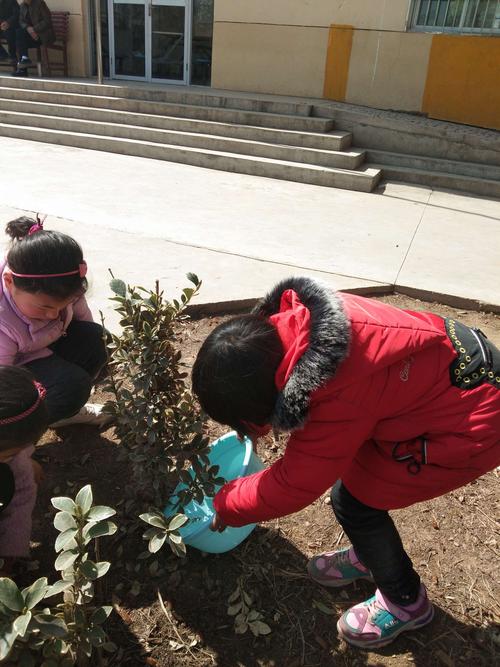 绿色春天,植树校园—哑柏镇五联小学植树节活动纪实