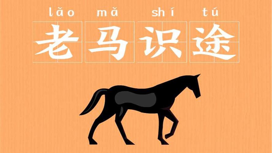 老马识途