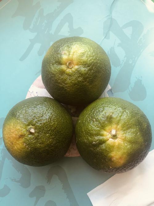 【水果分享】当季主流青桔:酸酸甜甜味儿,还可以解渴