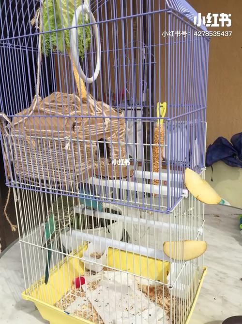自制铁丝网鸟笼_宠物_宠物_宠物其他