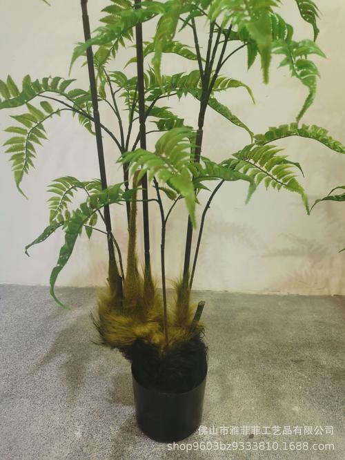 仿真绿植盆栽猴头蕨金丝蕨金毛狗蕨家居落地盆栽塑料树造景装饰草