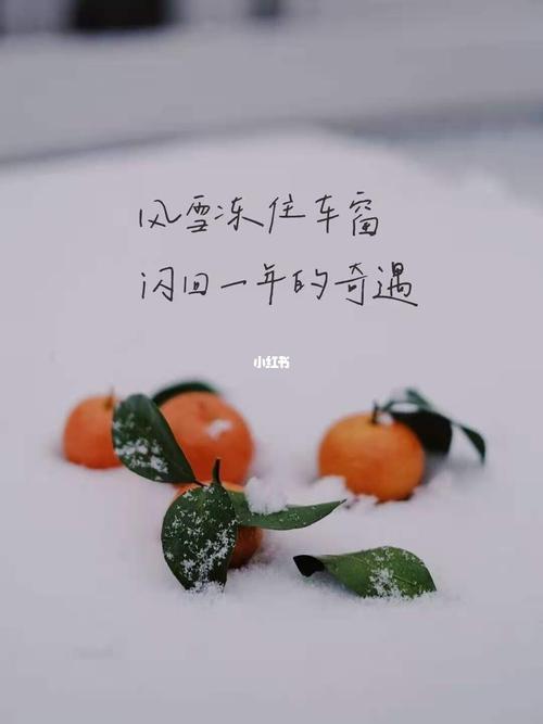 下雪文案|雪花抖落一地,我在想你(原创)_文案_冬天去哪玩_52home攻略