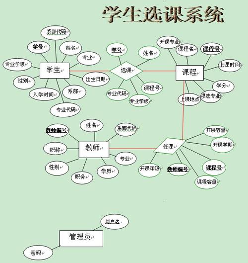 求学生选课系统的er图?