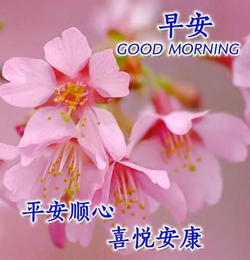 问候平常,却很温暖.朋友信任,却最真切.友情淡雅,却最珍贵.