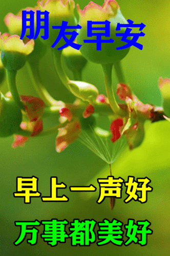 5月29日最漂亮早上好动态表情图片大全早晨好动图美图大全