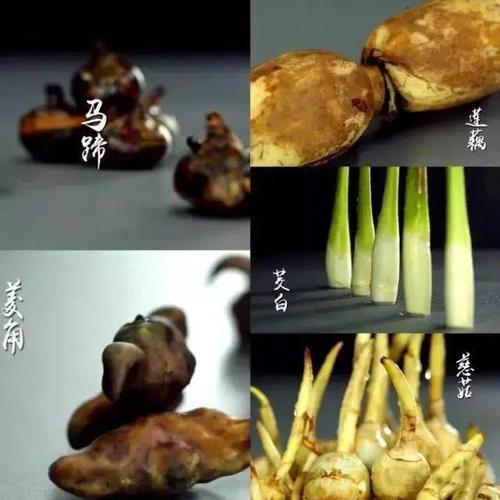 经典岭南 | 你知道"泮塘五秀"是哪五秀吗?_广州市