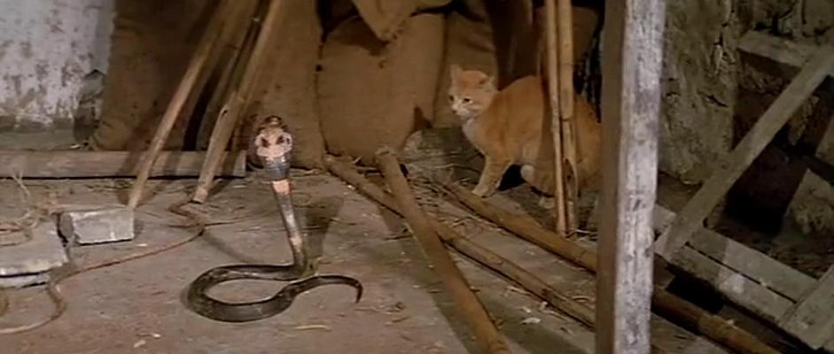 蛇形刁手截图 剧照图片 _ 蛇形刁手电影剧照[图片专辑] _ 图片网