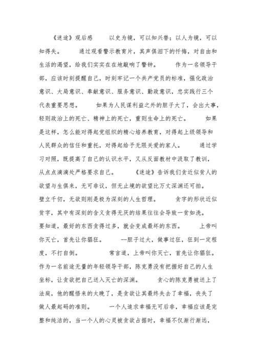 警示教育片迷途观后感docx6页