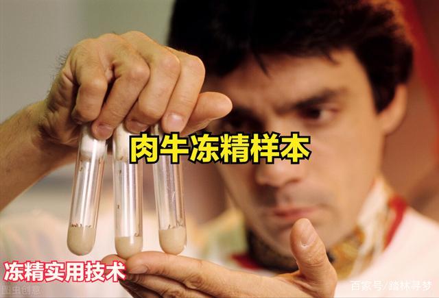 8,冬季人工授精应保持一定的温度,包括器械.