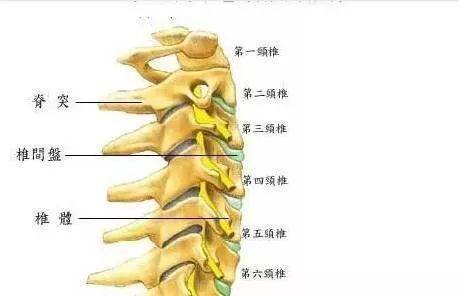 疼痛治疗相关定点方法及具体定点治疗