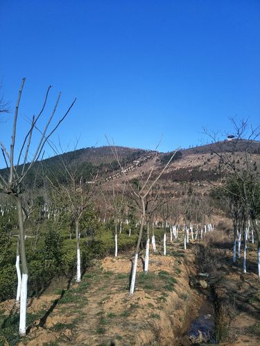 安徽省合肥市庐江县东外环路靠近东马家山尾天气预报