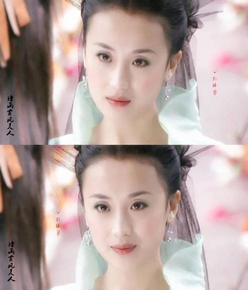 傅淼《神雕侠侣》【公孙绿萼】翠枝含苞情根深,流水无意映泪痕.