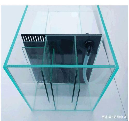观赏鱼缸常见的过滤系统都有哪些过滤方式原理及使用方法干货